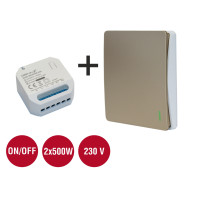 Set GENIUX Fenix TWIN 1 + prijímač X30,      Dvojkanálový
