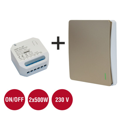 Set GENIUX Fenix TWIN 1 + prijímač X30,      Dvojkanálový