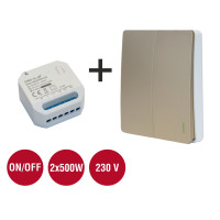 Set GENIUX Fenix 2 + prijímač X30,      Dvojkanálový